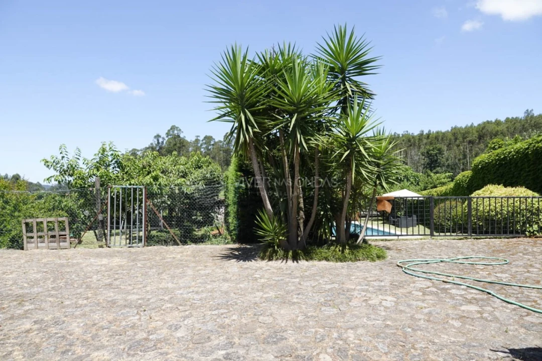 Moradia T4 para Venda em Sequeade e Bastuço (São João e Santo Estêvão) Foto 28