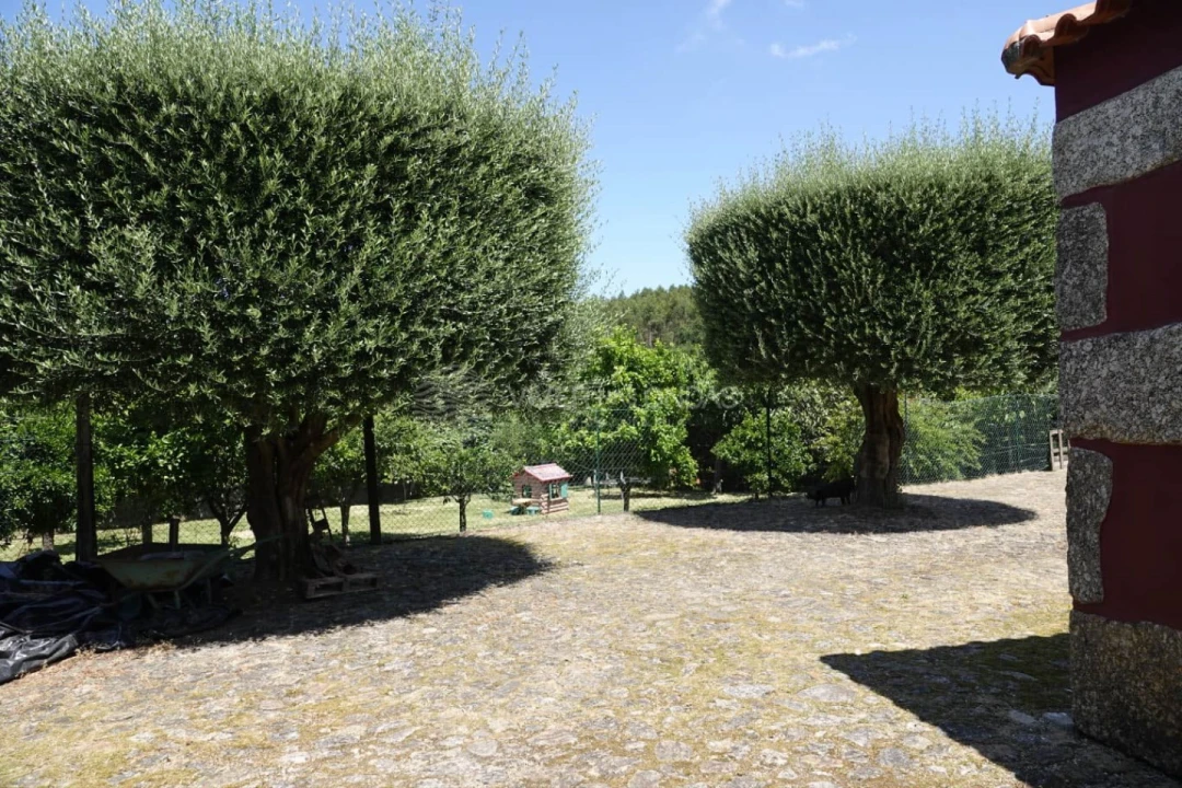 Moradia T4 para Venda em Sequeade e Bastuço (São João e Santo Estêvão) Foto 43