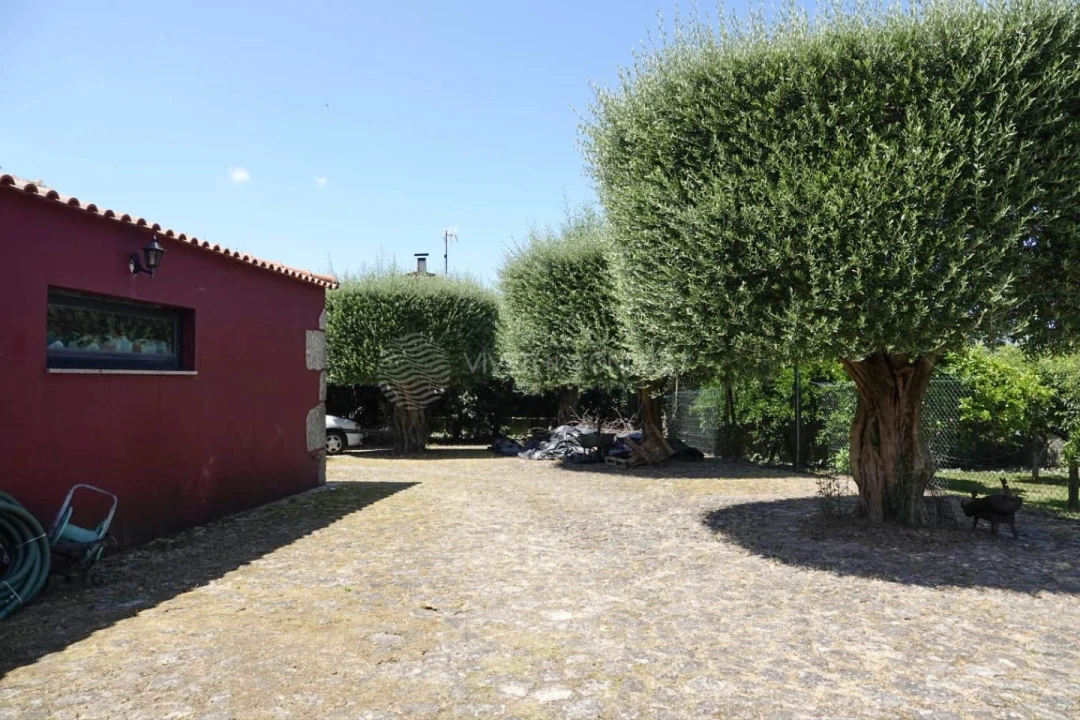 Moradia T4 para Venda em Sequeade e Bastuço (São João e Santo Estêvão) Foto 47