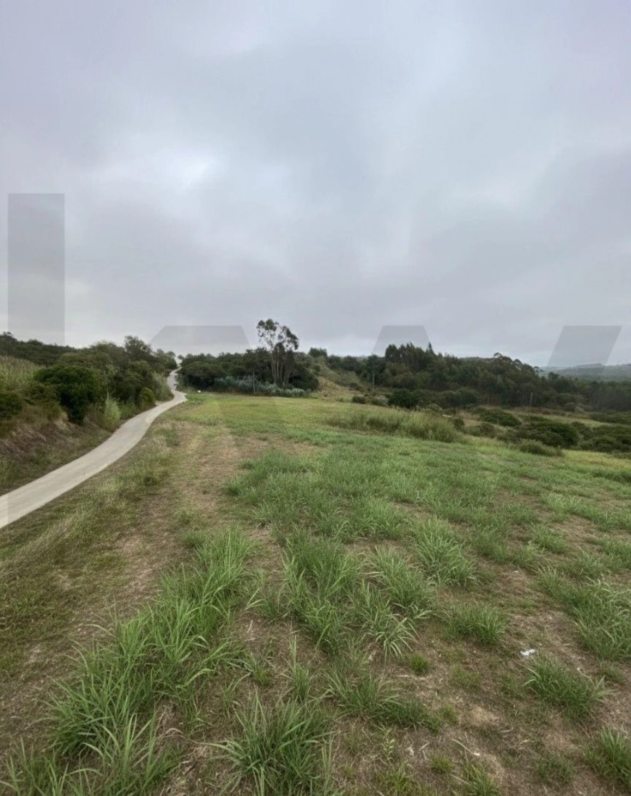 Terreno para Venda em Valado dos Frades Foto 2