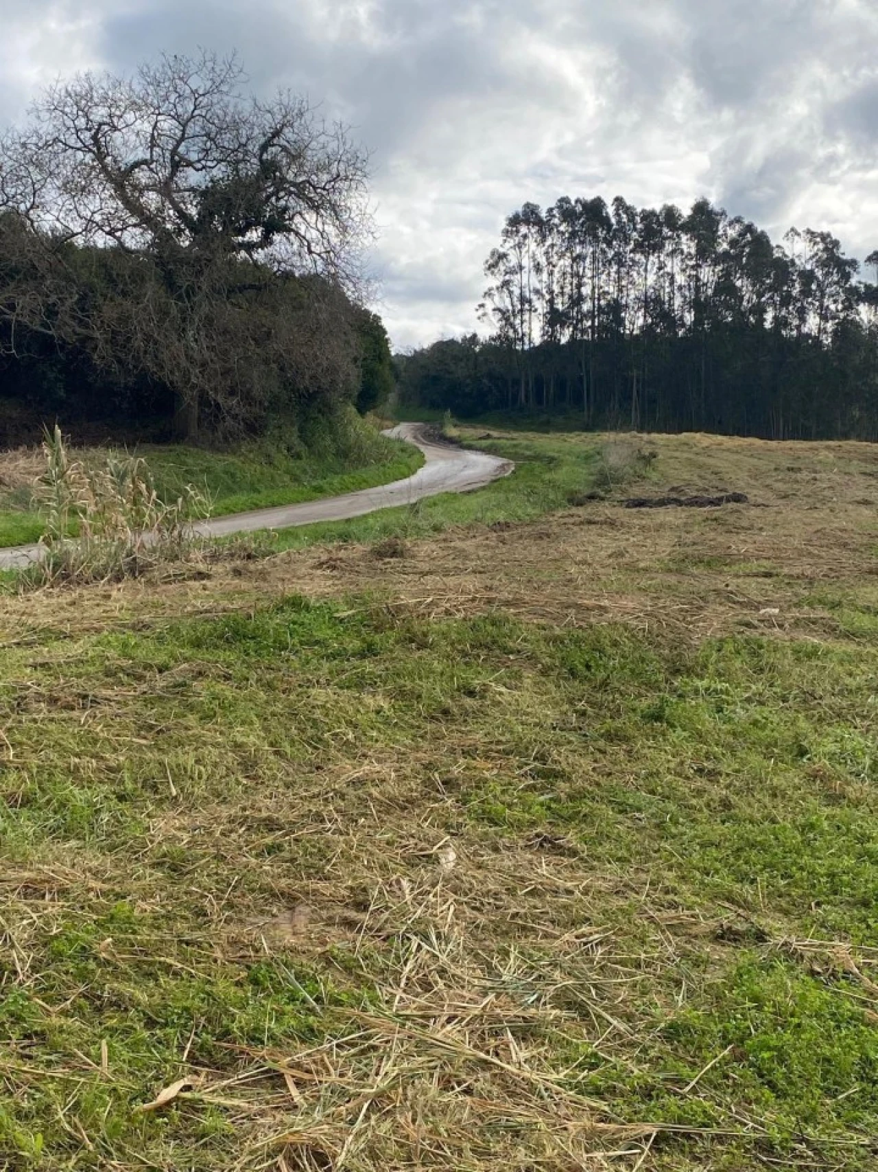 Terreno para Venda em Valado dos Frades Foto 3
