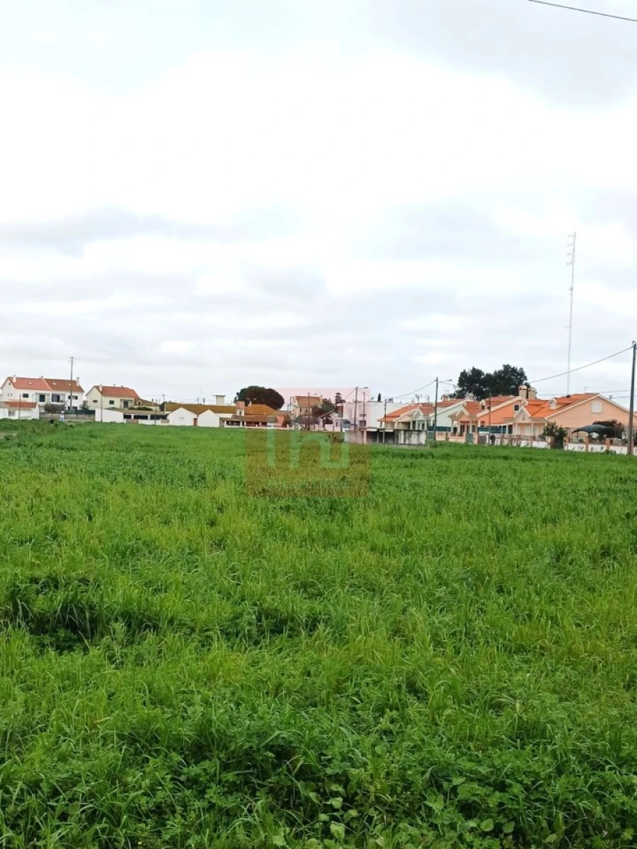 Terreno para Venda em Atalaia e Alto Estanqueiro-Jardia Foto 13