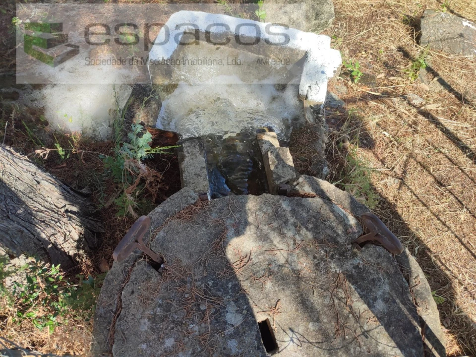 Quinta T1 para Venda em Ladoeiro Foto 16