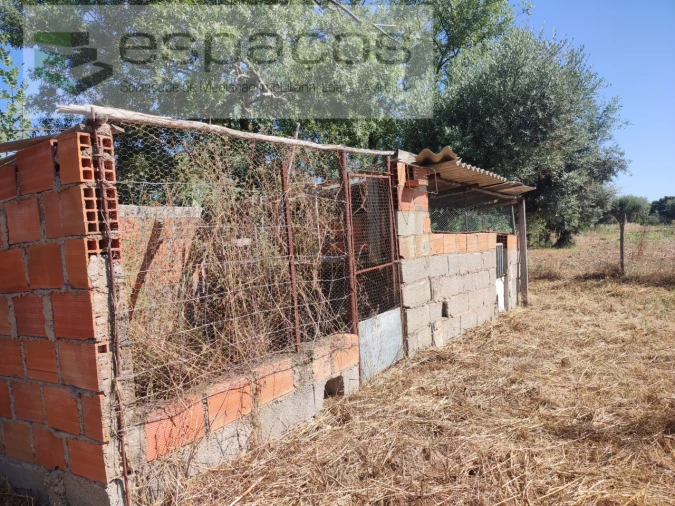 Quinta T1 para Venda em Ladoeiro Foto 10