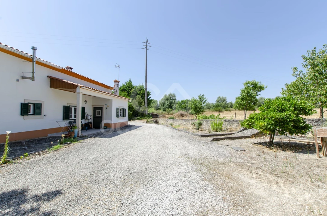 Quinta T4 para Venda em Almoster Foto 41