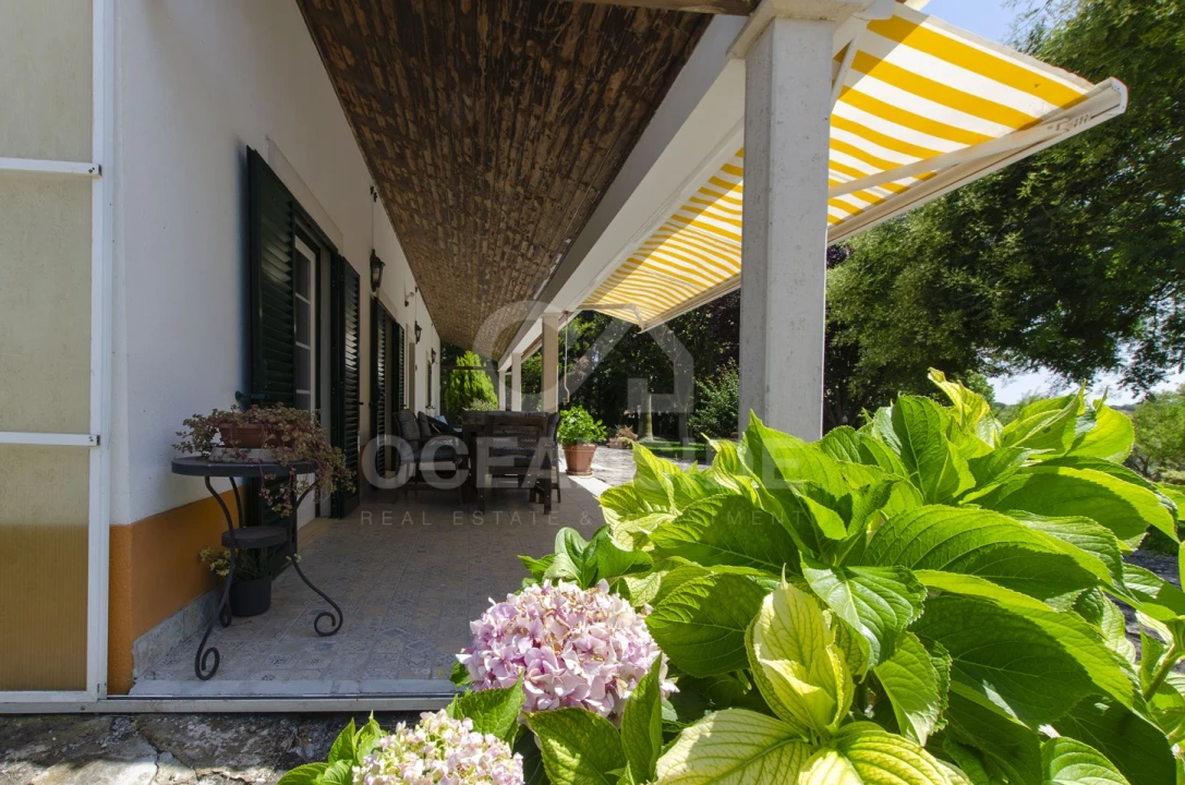 Quinta T4 para Venda em Almoster Foto 44