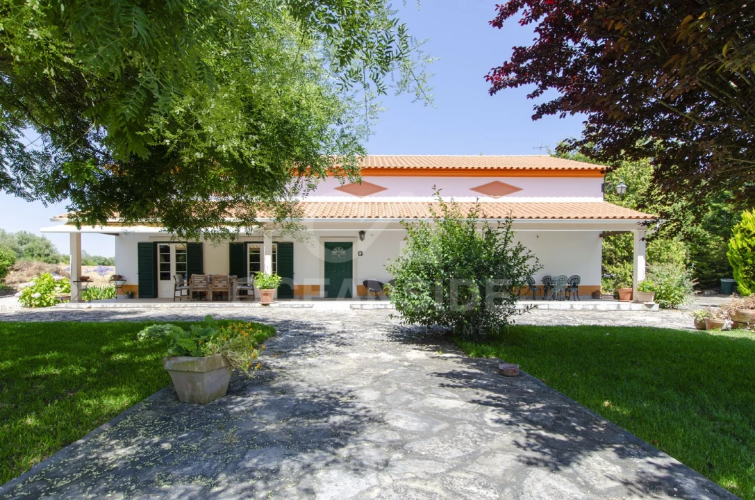 Quinta T4 para Venda em Almoster Foto 3