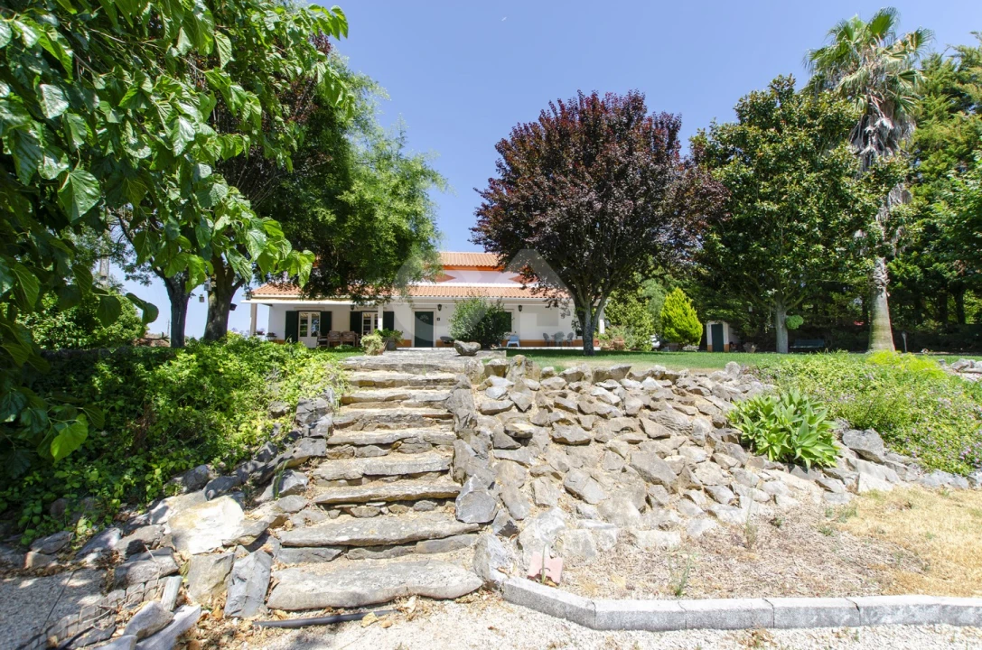 Quinta T4 para Venda em Almoster Foto 46