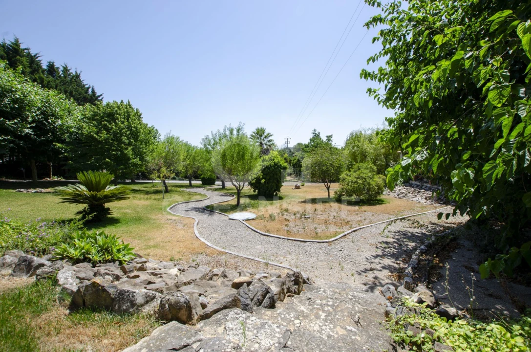 Quinta T4 para Venda em Almoster Foto 47