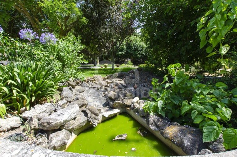 Quinta T4 para Venda em Almoster Foto 48