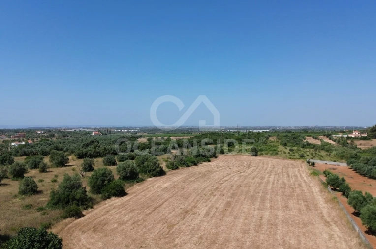 Quinta T4 para Venda em Almoster Foto 42