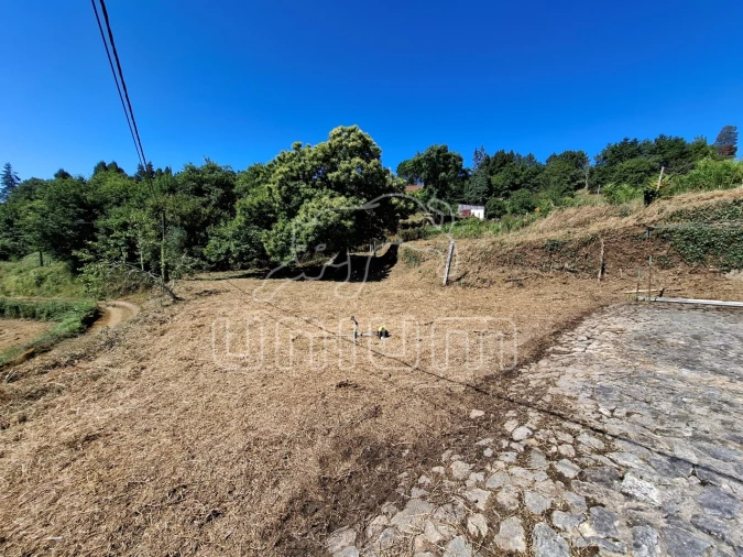 Moradia T1 para Venda em Mentrestido Foto 9