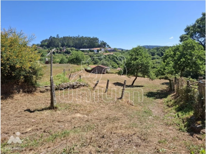 Moradia T1 para Venda em Mentrestido Foto 24