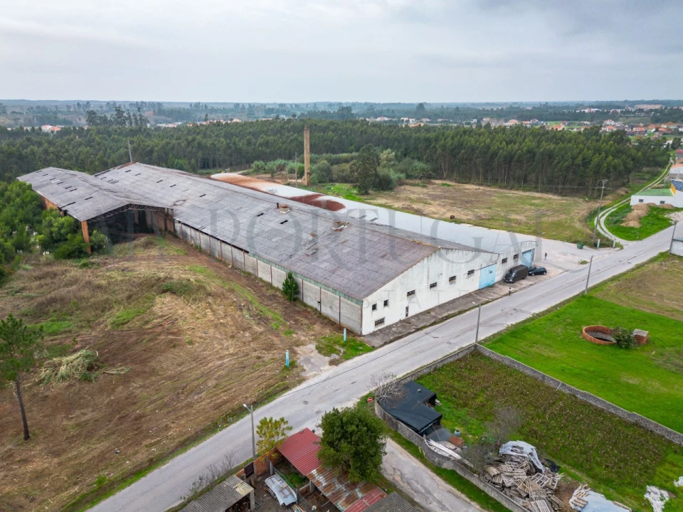 Armazém para Venda em Mira Foto 3