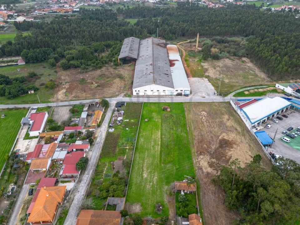 Armazém para Venda em Mira Foto 6