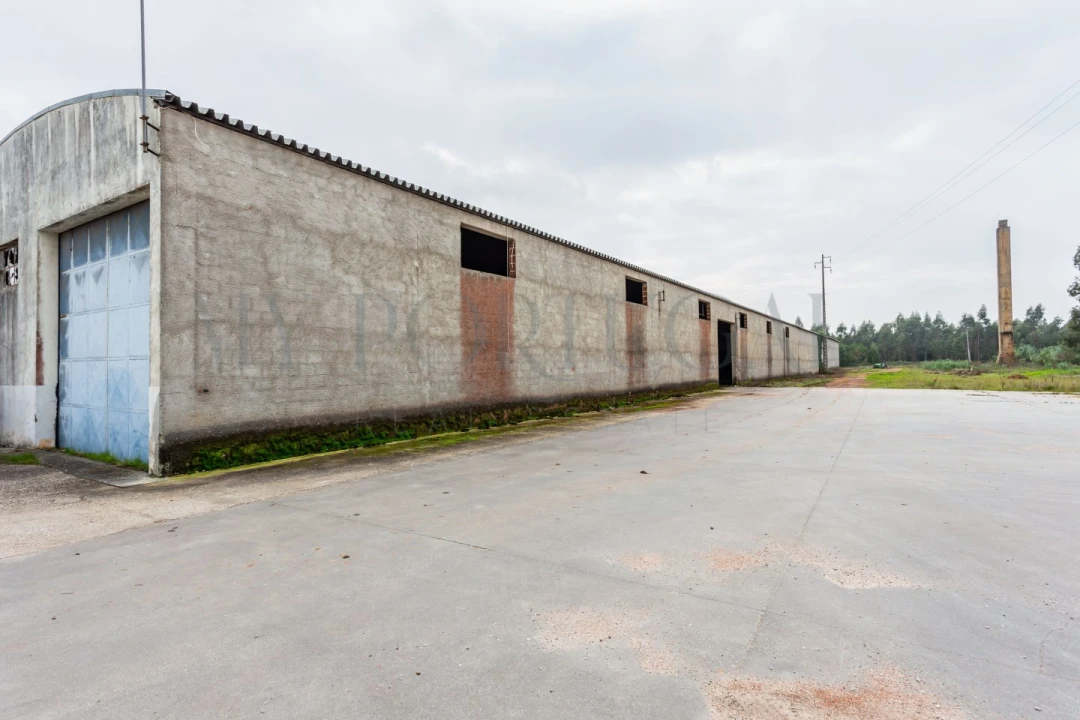 Armazém para Venda em Mira Foto 8