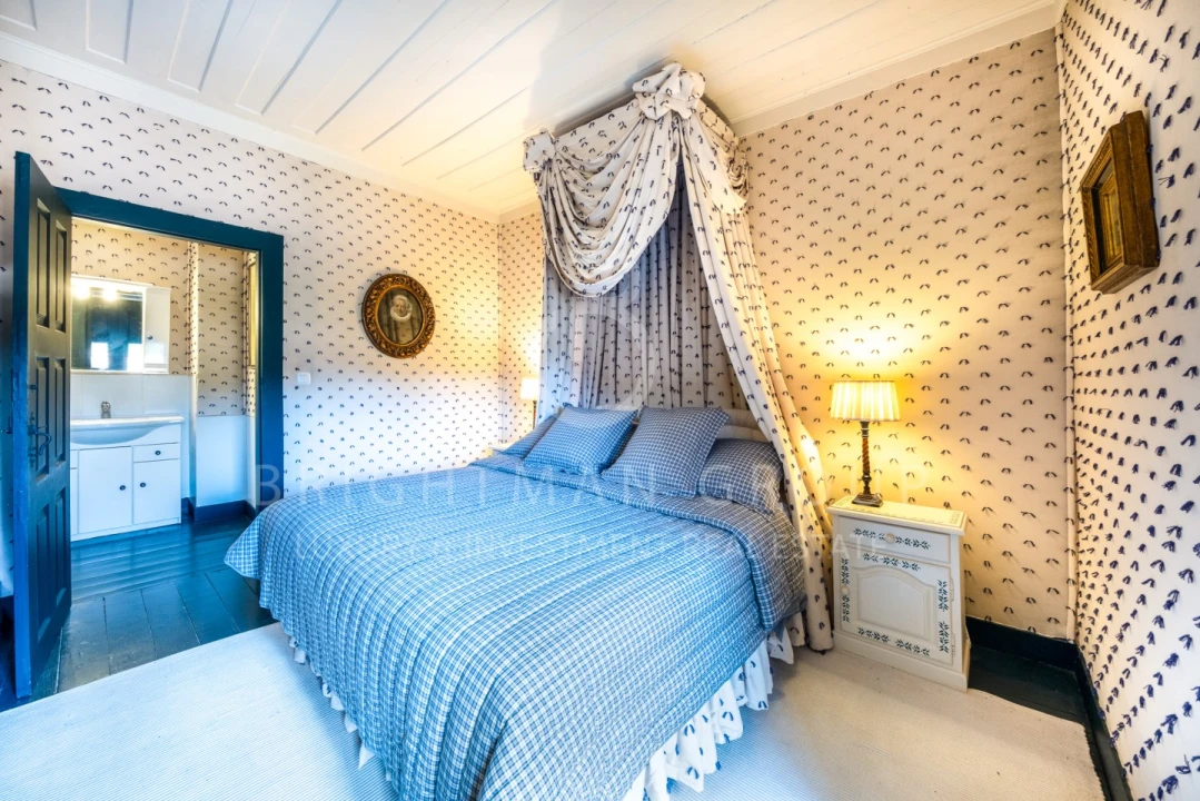 Quinta T9 para Venda em Santiago de Besteiros Foto 47