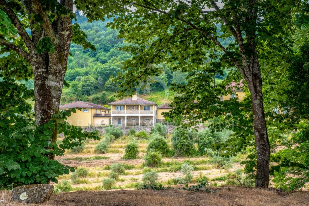 Quinta T9 para Venda em Santiago de Besteiros Foto 3