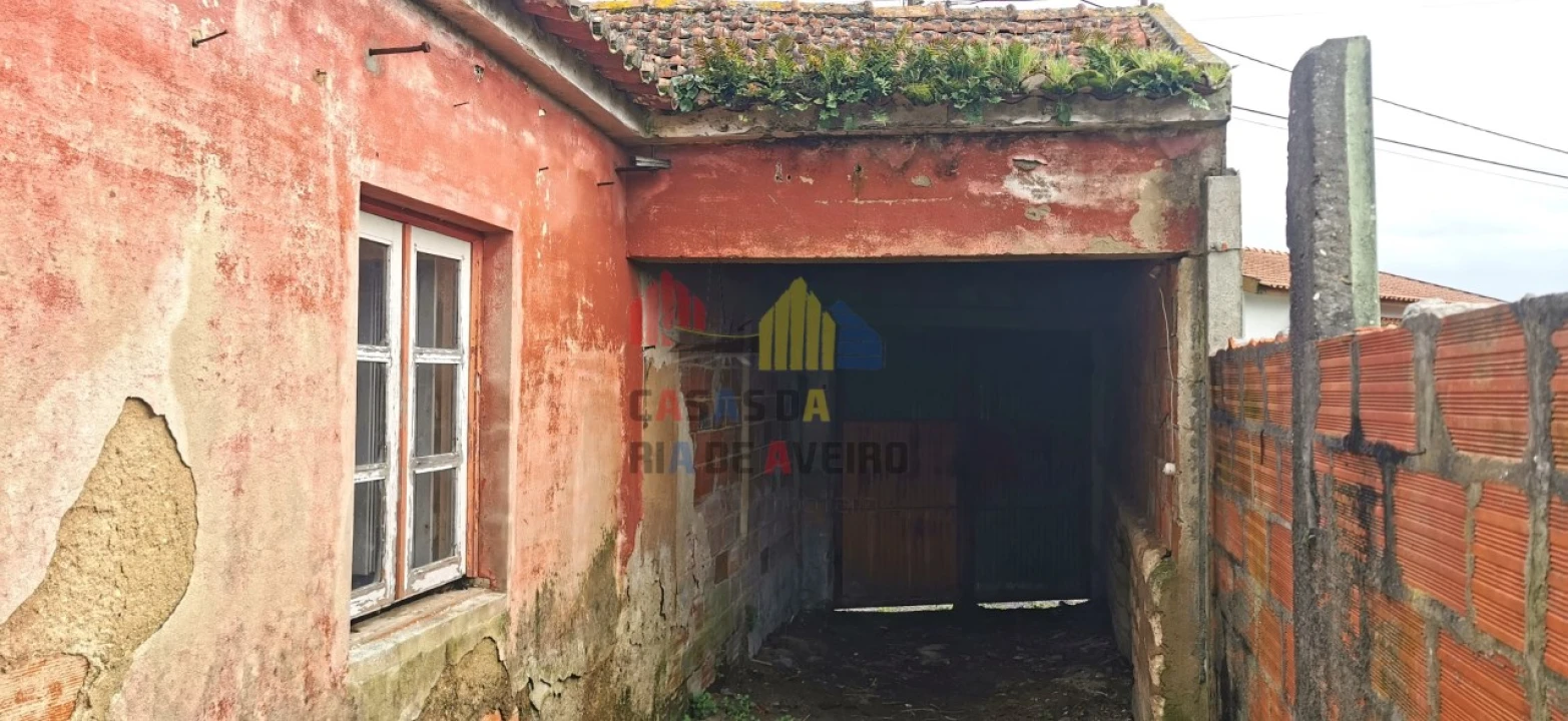 Quinta T2 para Venda em Monte Foto 4