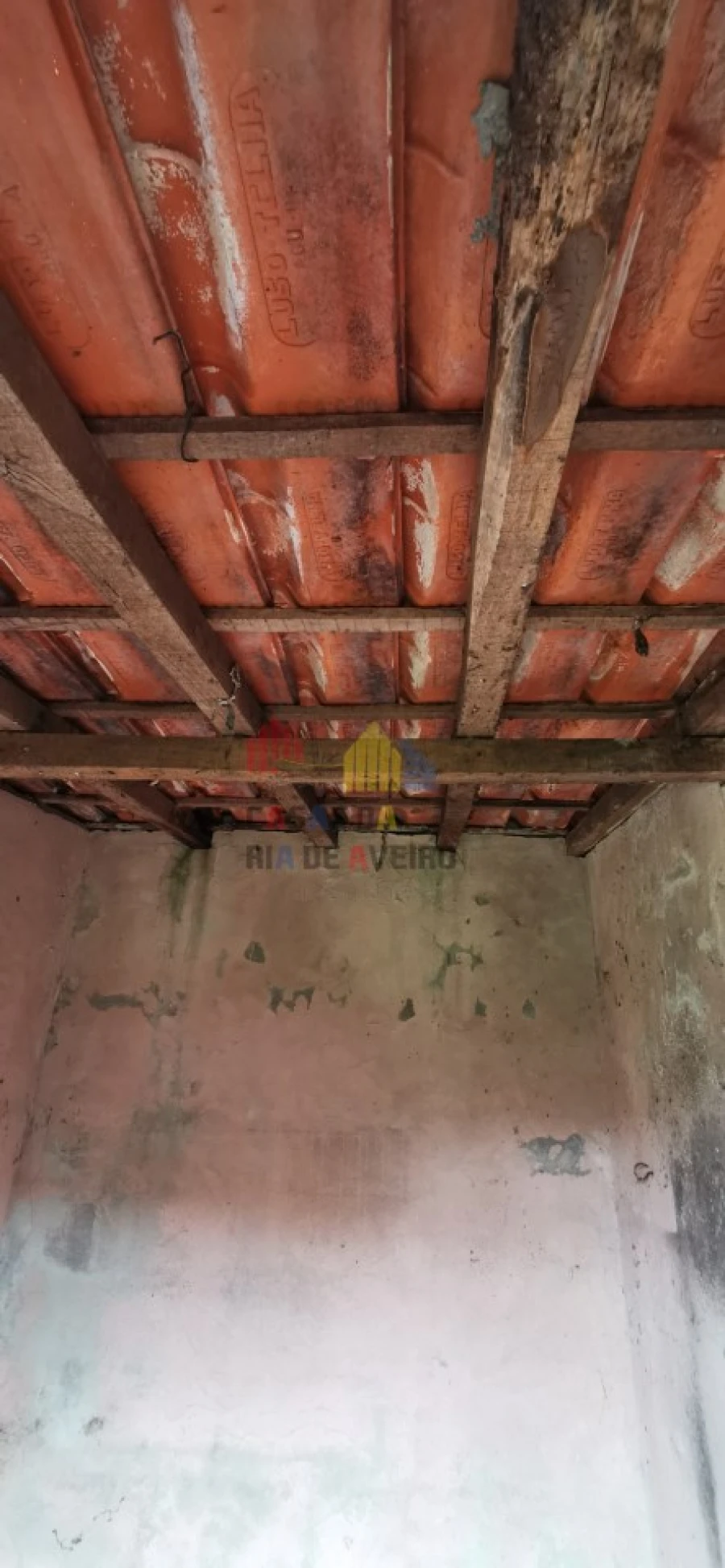 Quinta T2 para Venda em Monte Foto 20