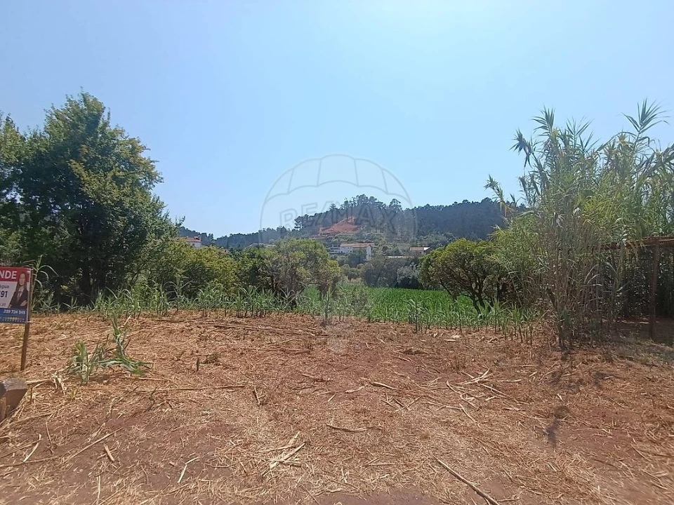 Terreno para Venda em Eiras e São Paulo de Frades Foto 2