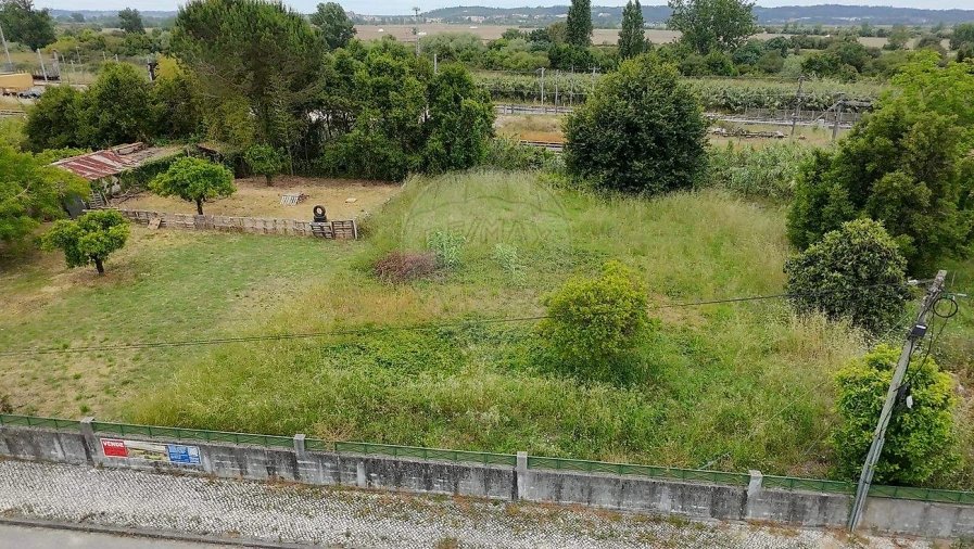 Terreno para Venda em Granja do Ulmeiro Foto 12