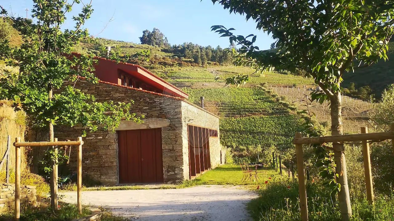 Quinta T3 para Venda em Valença do Douro Foto 27