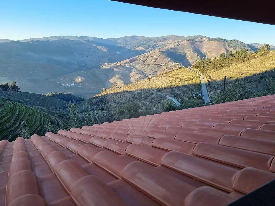 Quinta T3 para Venda em Valença do Douro Foto 20