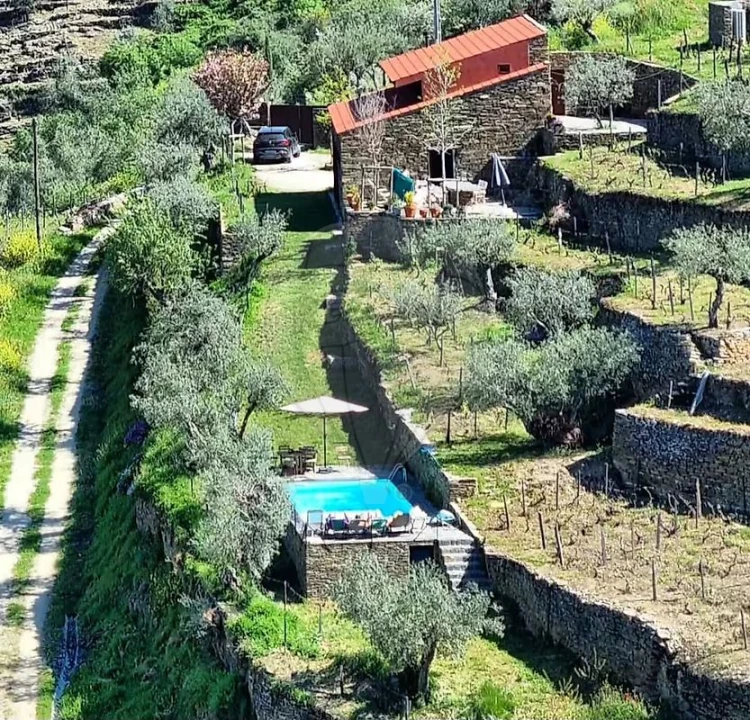 Quinta T3 para Venda em Valença do Douro Foto 19