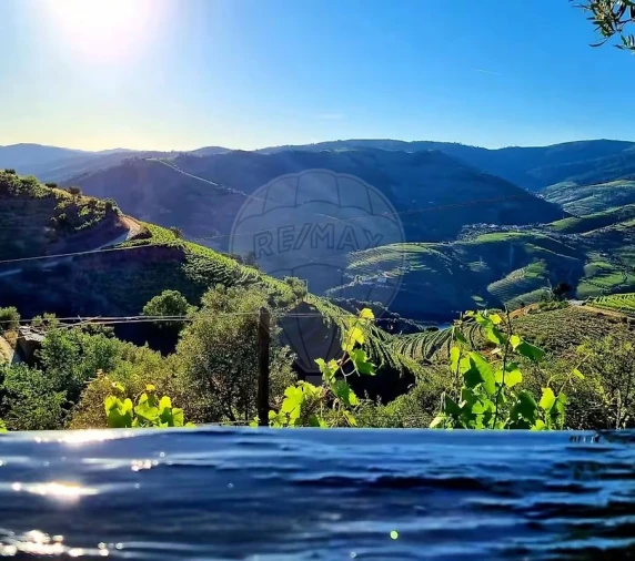 Quinta T3 para Venda em Valença do Douro