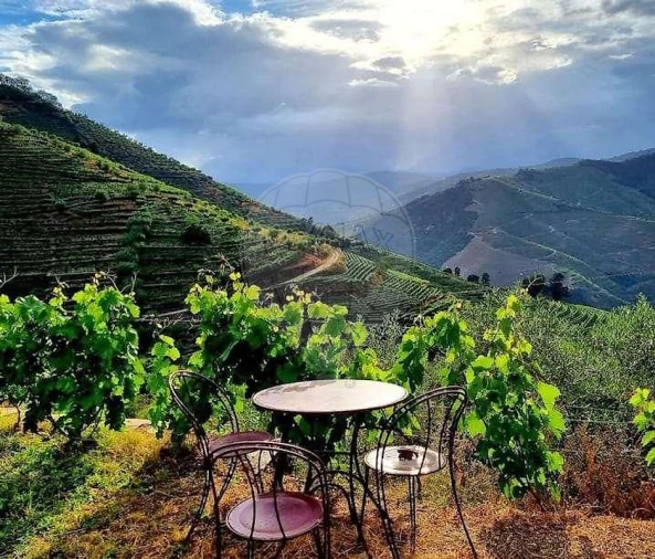 Quinta T3 para Venda em Valença do Douro Foto 2