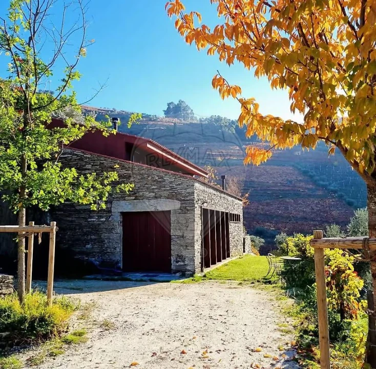 Quinta T3 para Venda em Valença do Douro Foto 28