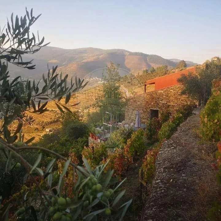 Quinta T3 para Venda em Valença do Douro Foto 13