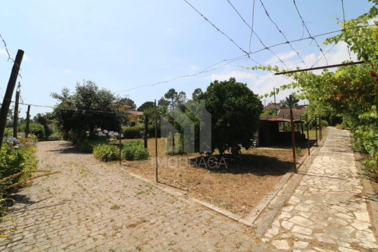 Moradia T4 para Venda em Lago Foto 18