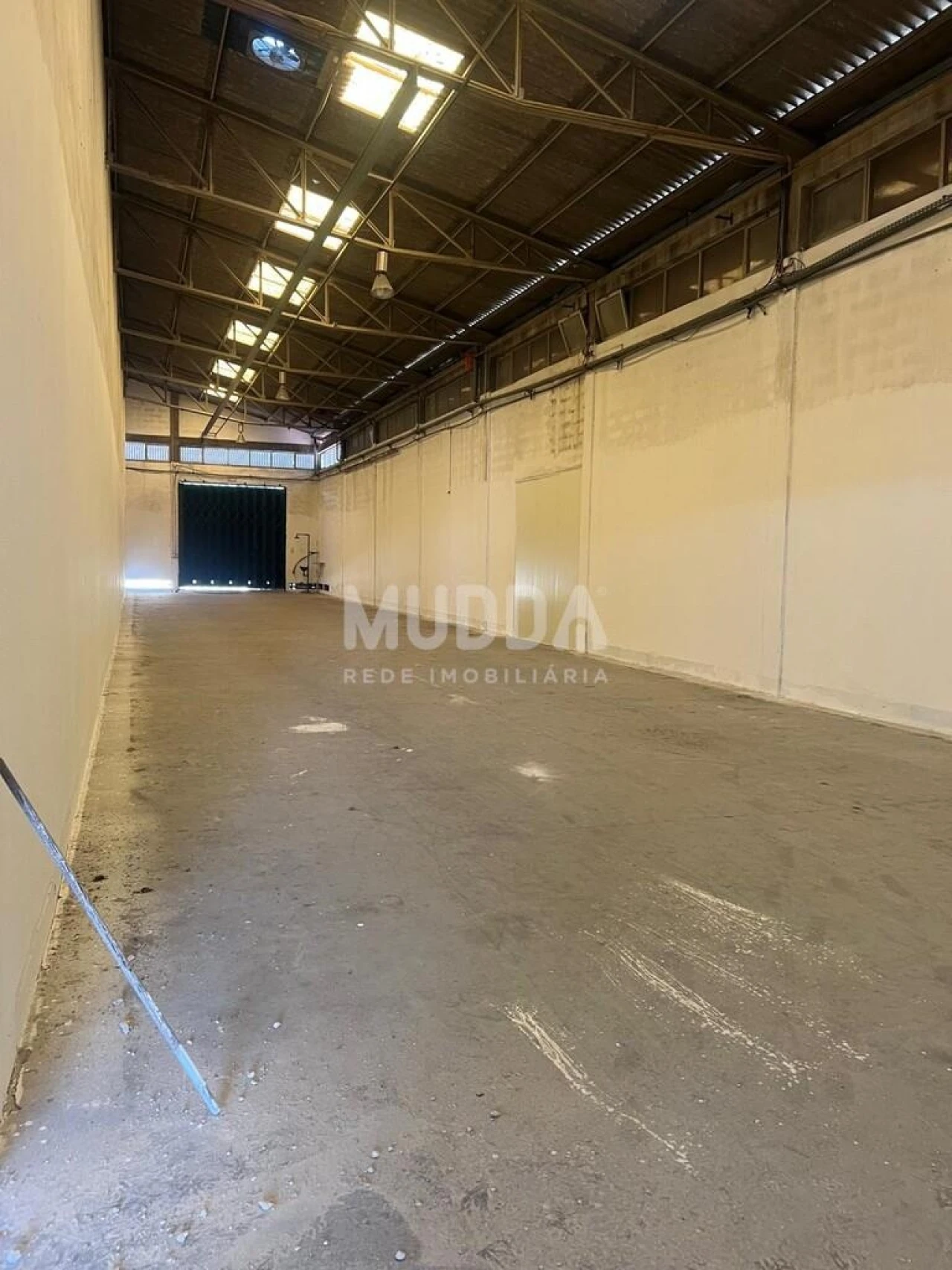 Armazém para Arrendamento em Oiã Foto 3