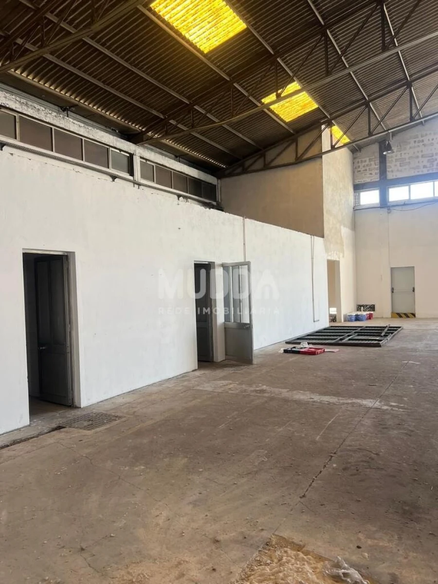 Armazém para Arrendamento em Oiã Foto 2