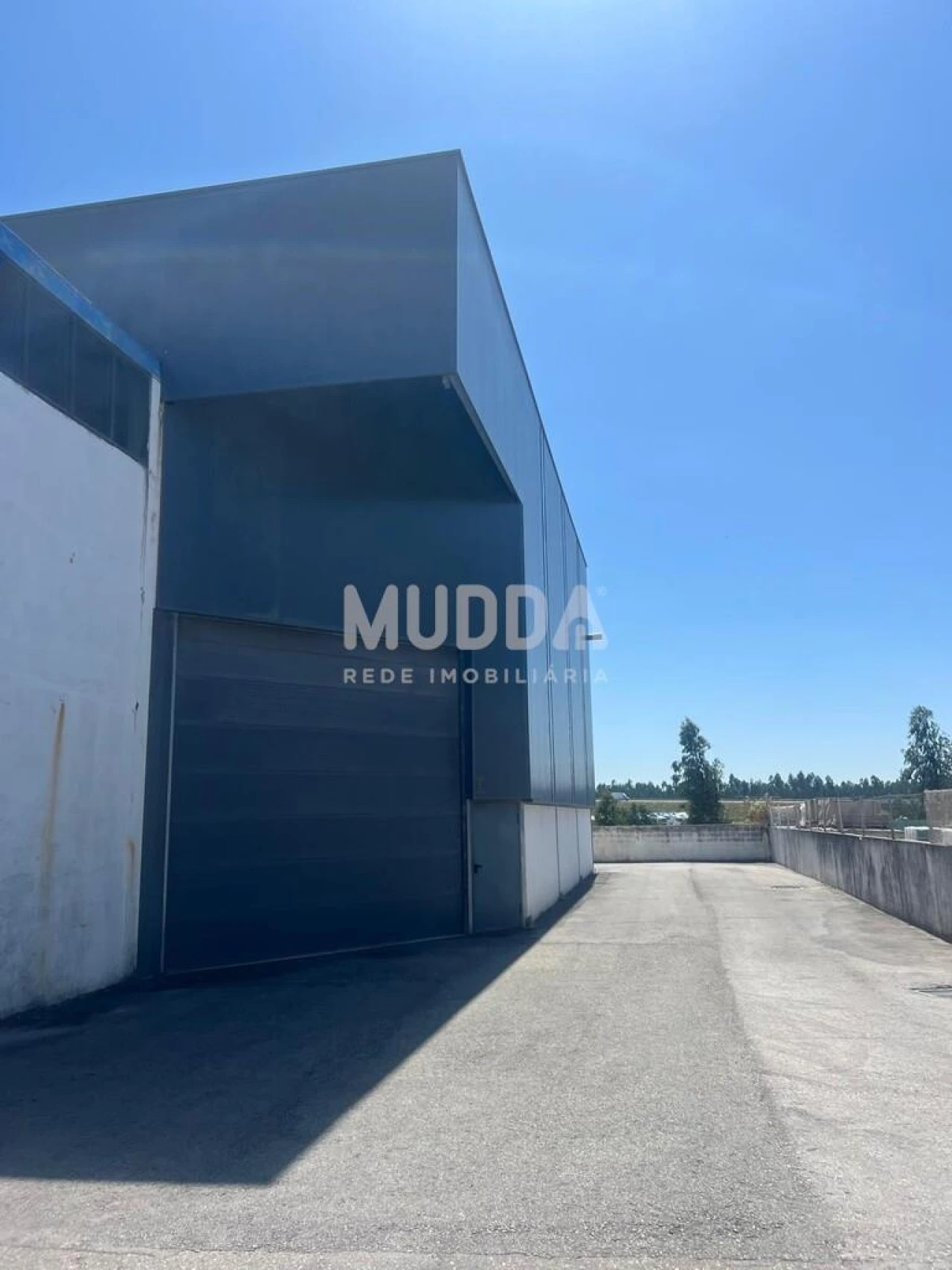 Armazém para Arrendamento em Oiã Foto 1