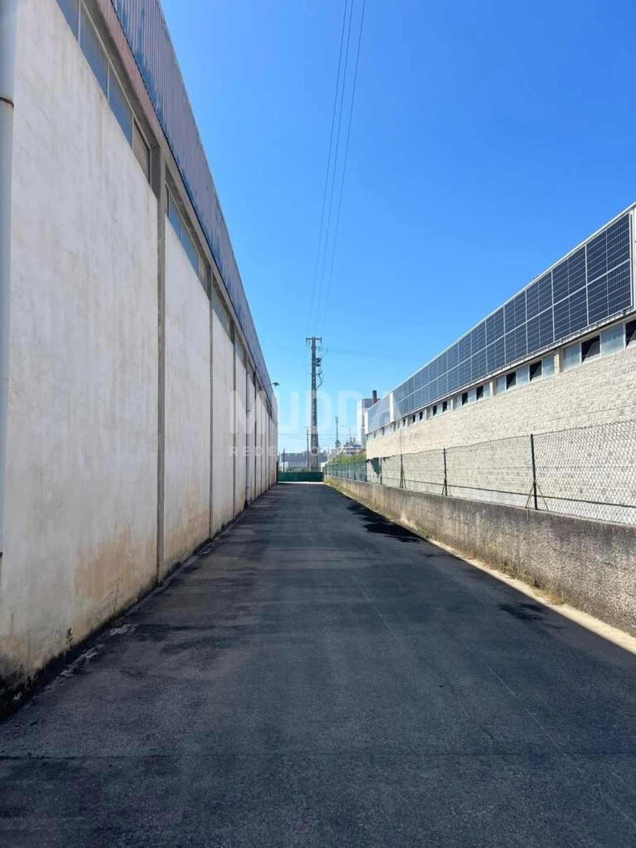 Armazém para Arrendamento em Oiã Foto 4