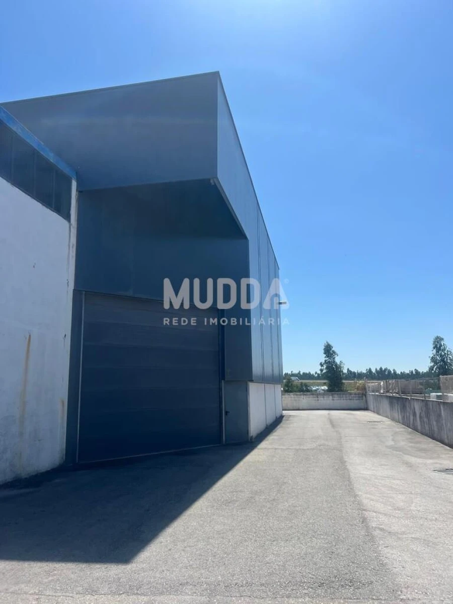 Armazém para Arrendamento em Oiã