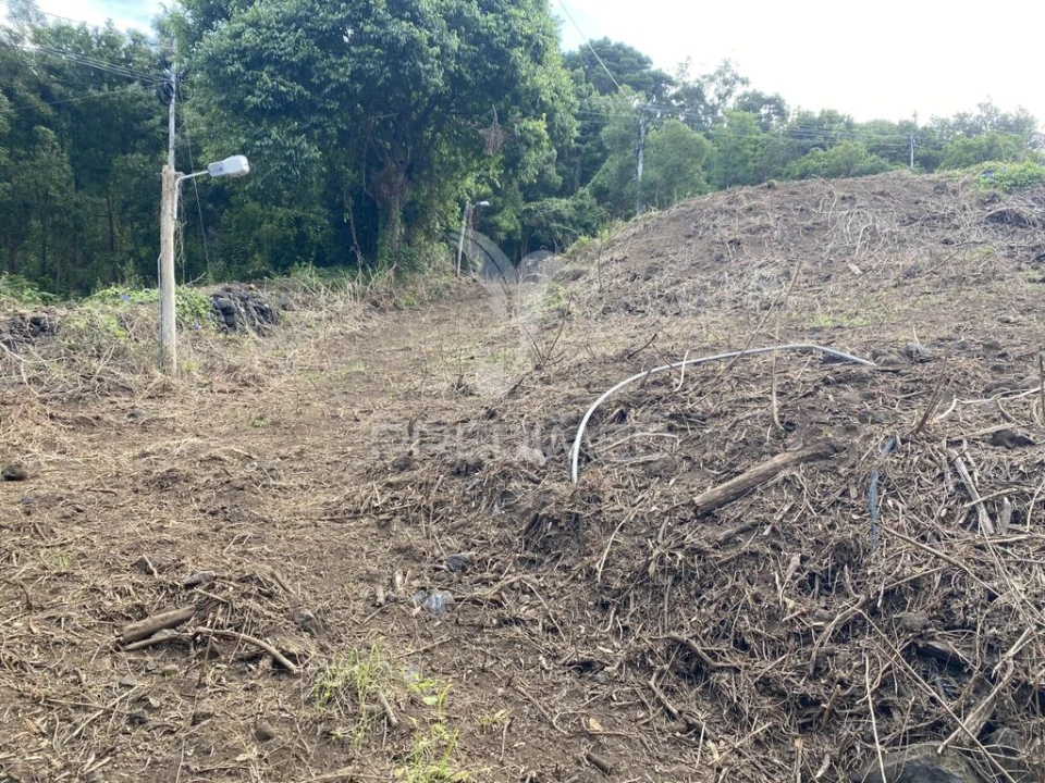 Terreno para Venda em Manadas (Santa Barbara) Foto 6