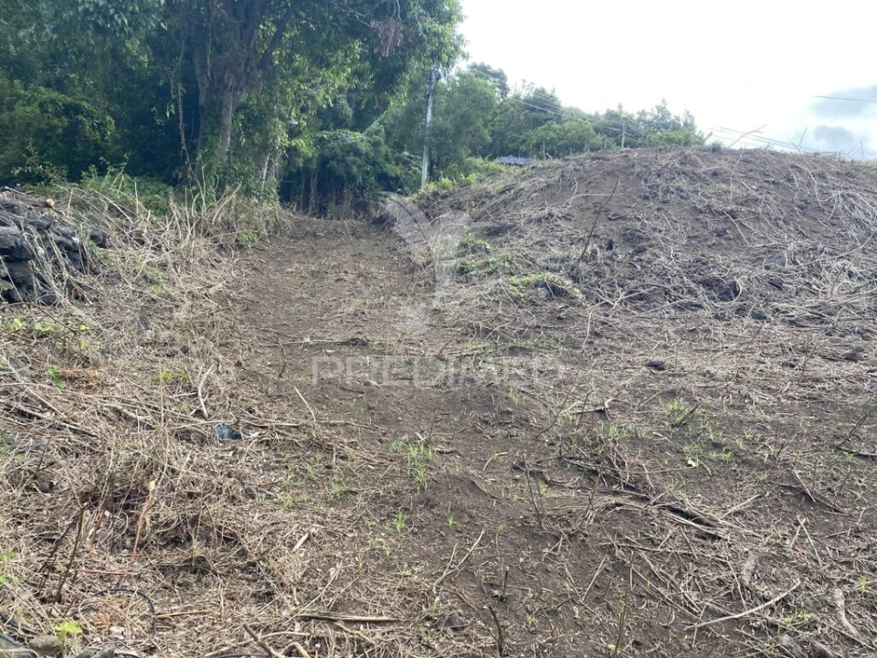 Terreno para Venda em Manadas (Santa Barbara) Foto 8