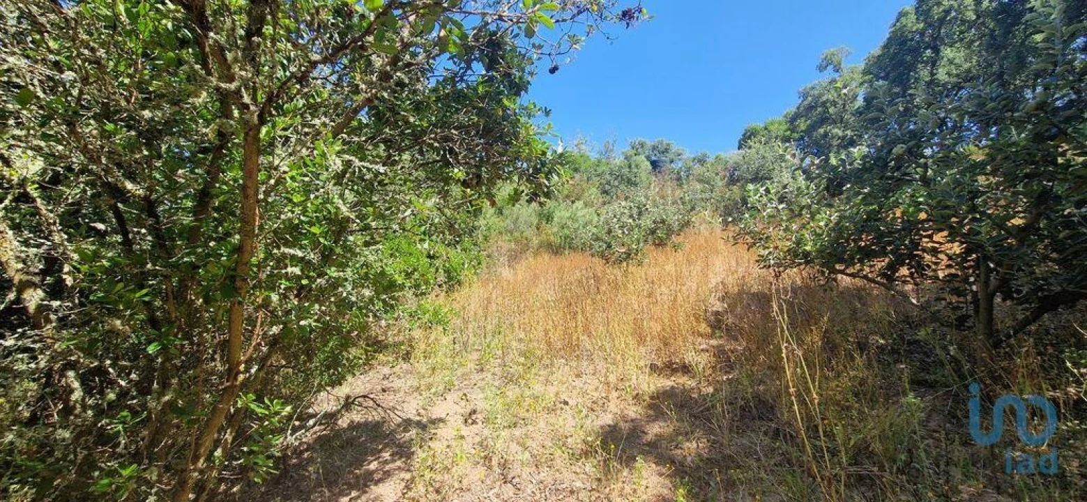 Terreno para Venda em Azueira e Sobral da Abelheira Foto 13