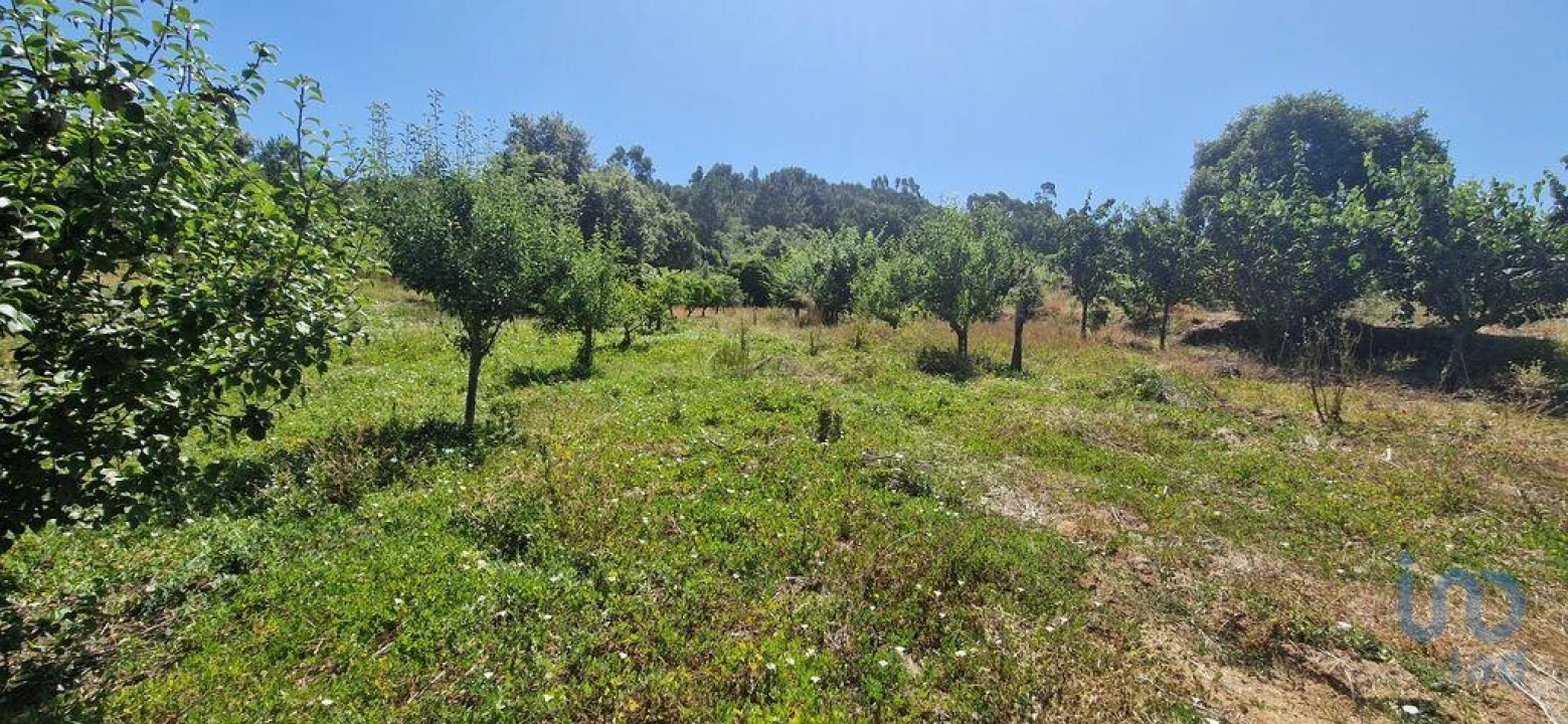 Terreno para Venda em Azueira e Sobral da Abelheira Foto 2