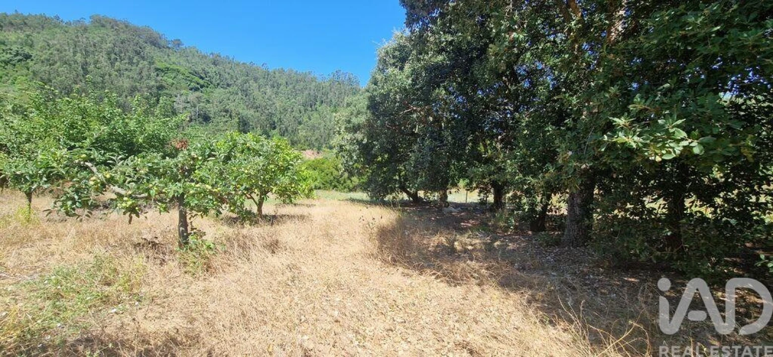 Terreno para Venda em Azueira e Sobral da Abelheira Foto 16