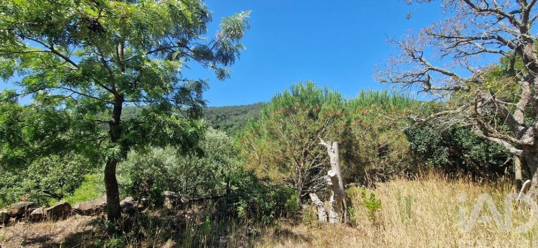 Terreno para Venda em Azueira e Sobral da Abelheira Foto 21