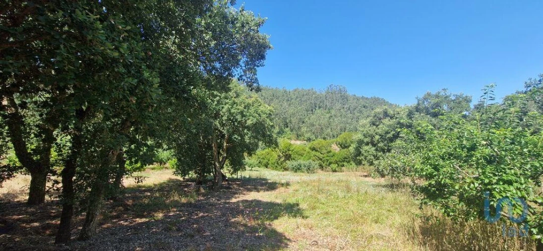 Terreno para Venda em Azueira e Sobral da Abelheira Foto 9