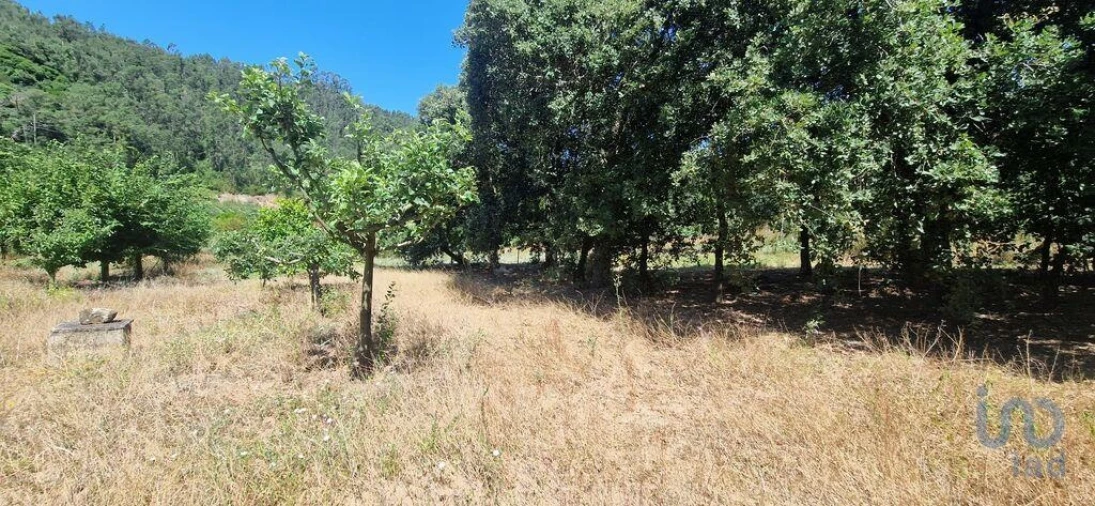 Terreno para Venda em Azueira e Sobral da Abelheira Foto 14