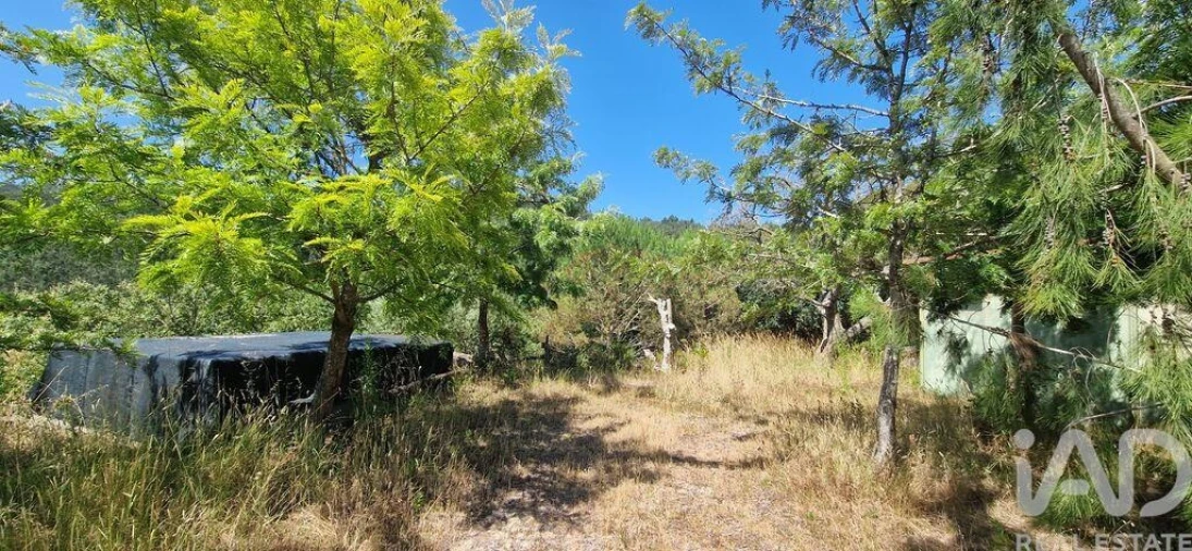 Terreno para Venda em Azueira e Sobral da Abelheira Foto 20