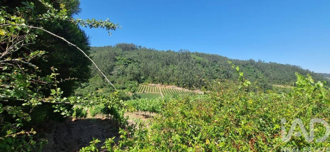 Terreno para Venda em Azueira e Sobral da Abelheira Foto 18