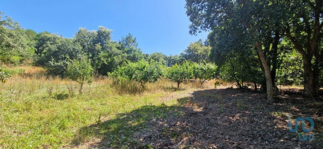 Terreno para Venda em Azueira e Sobral da Abelheira Foto 7